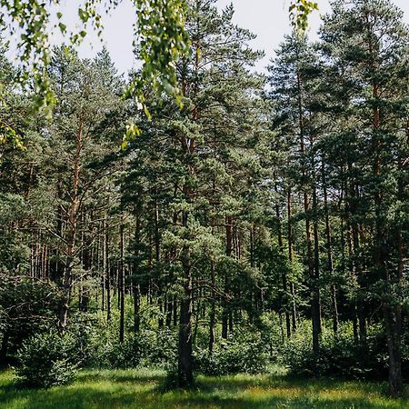 Mysliwska Chata Na Skraju Lasu Villa Wojtkowa Esterno foto